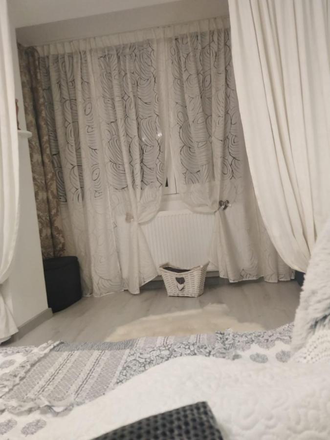 La Monica 2 - Cazare Straja - Lupeni - Retezat - Parang Apartamento Exterior foto
